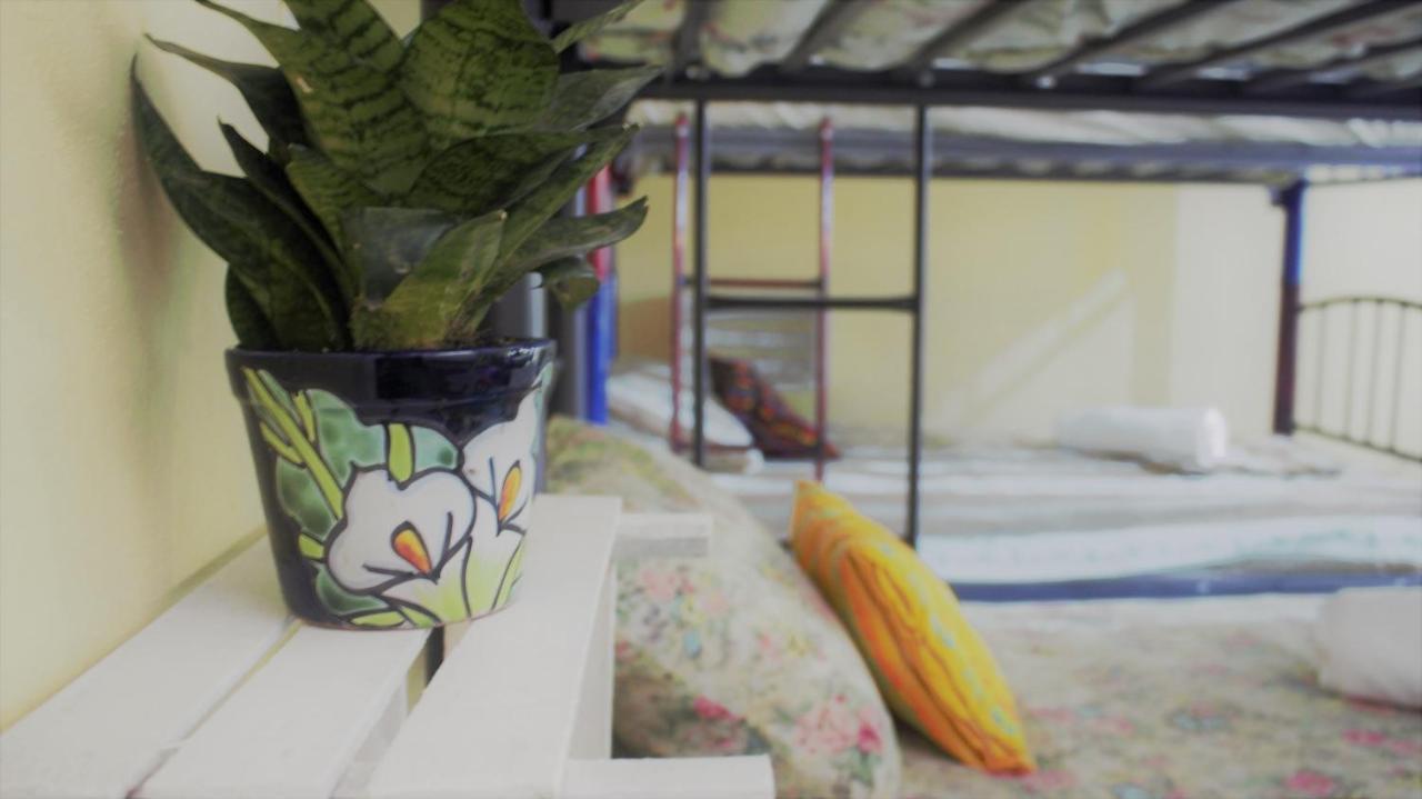 Casa Santaella 호텔 푸에르토 에스콘디도 외부 사진