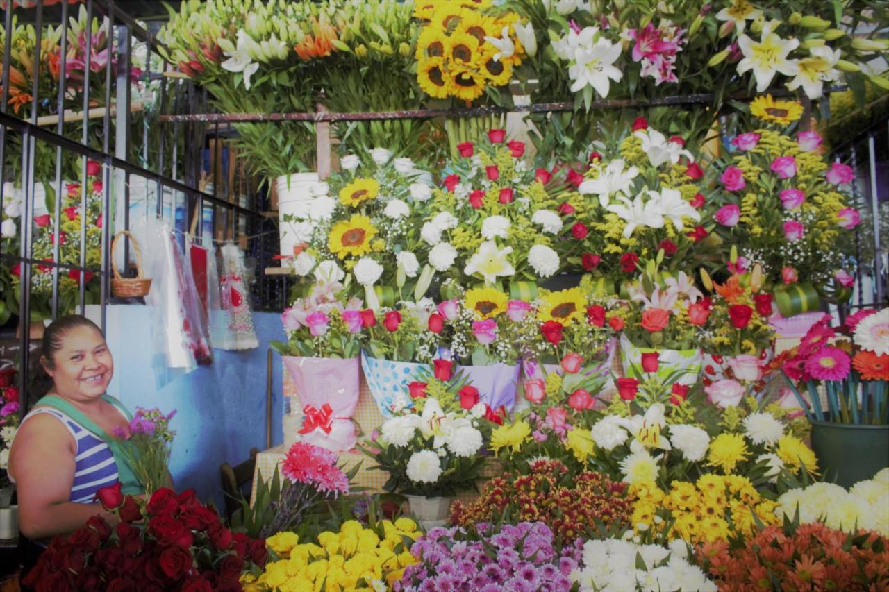 Casa Santaella 호텔 푸에르토 에스콘디도 외부 사진