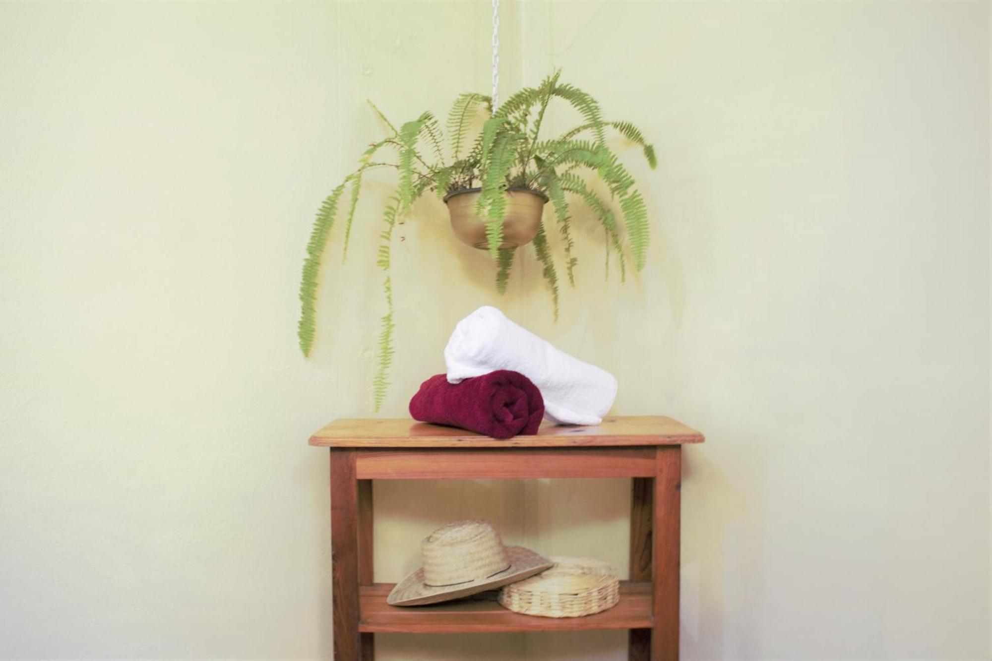 Casa Santaella 호텔 푸에르토 에스콘디도 객실 사진